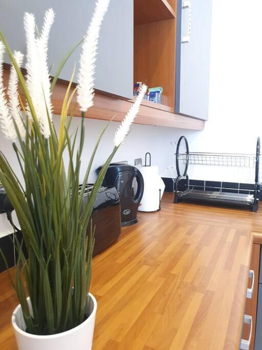 Contemporary Modern Studio Apartment - City Centre Birmingham Kültér fotó