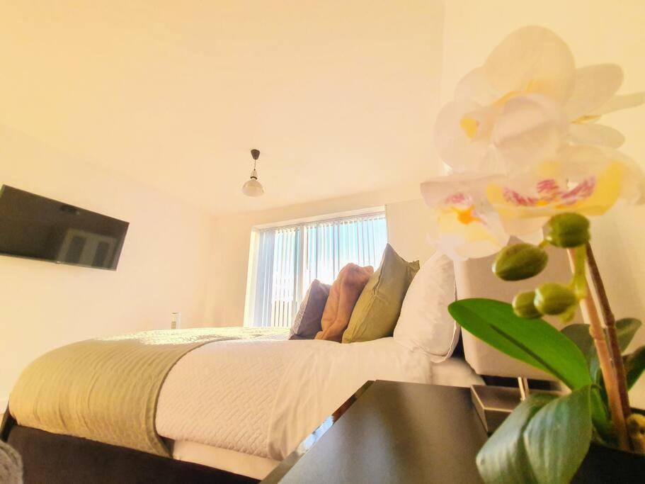 Contemporary Modern Studio Apartment - City Centre Birmingham Kültér fotó